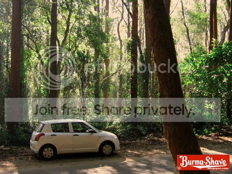 Kerala Roadtrip