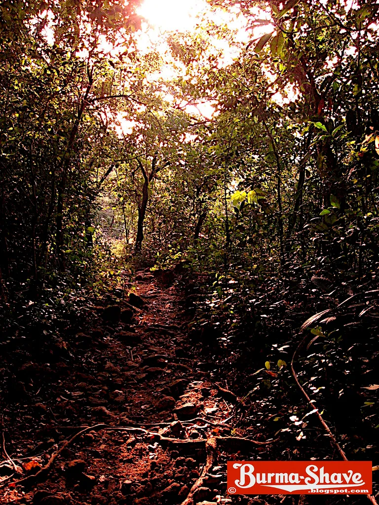 Trek Route