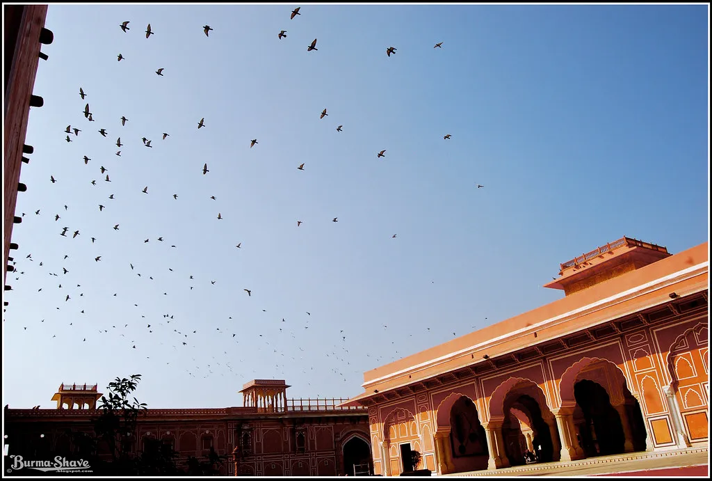 Welcome to Rajasthan